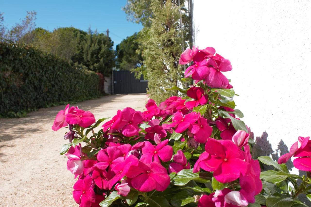 Finca Paredes Valdetorres de Jarama Exterior photo
