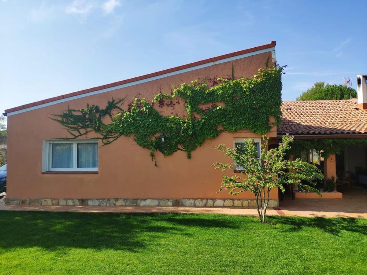Finca Paredes Valdetorres de Jarama Exterior photo